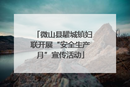 微山县驩城镇妇联开展“安全生产月”宣传活动