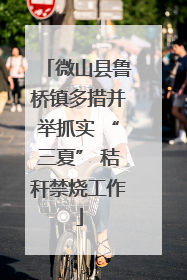 微山县鲁桥镇多措并举抓实 “三夏” 秸秆禁烧工作
