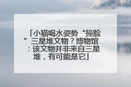 小猫喝水姿势“撞脸”三星堆文物？博物馆：该文物并非来自三星堆，有可能是它