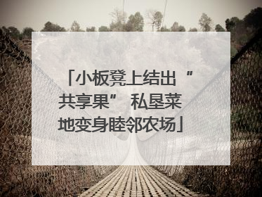 小板凳上结出“共享果” 私垦菜地变身睦邻农场