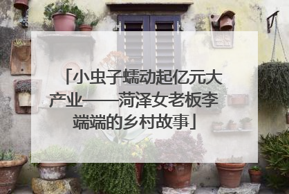 小虫子蠕动起亿元大产业——菏泽女老板李端端的乡村故事
