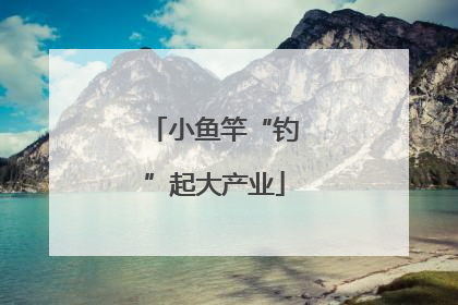 小鱼竿“钓”起大产业