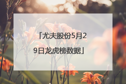 尤夫股份5月29日龙虎榜数据