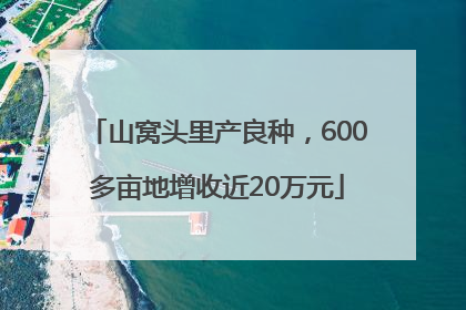 山窝头里产良种，600多亩地增收近20万元