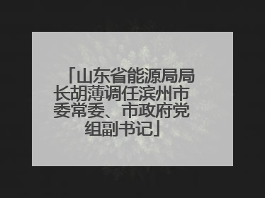 山东省能源局局长胡薄调任滨州市委常委、市政府党组副书记