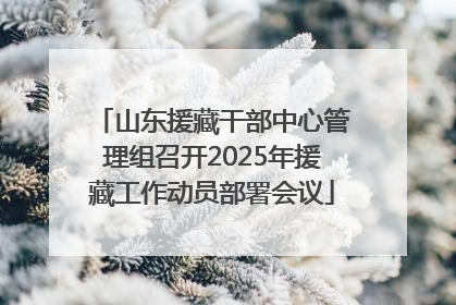 山东援藏干部中心管理组召开2025年援藏工作动员部署会议