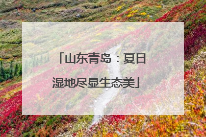 山东青岛：夏日湿地尽显生态美