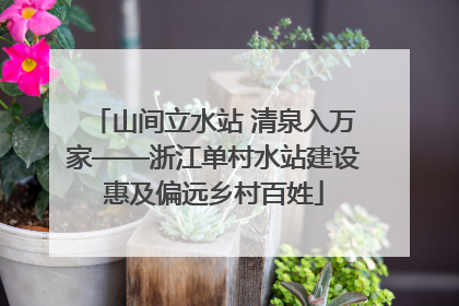 山间立水站 清泉入万家——浙江单村水站建设惠及偏远乡村百姓