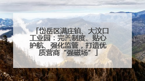 岱岳区满庄镇、大汶口工业园：完善制度、贴心护航、强化监管，打造优质营商“强磁场”