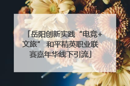 岳阳创新实践“电竞+文旅” 和平精英职业联赛嘉年华线下引流