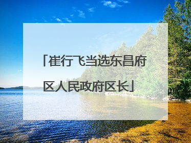 崔行飞当选东昌府区人民政府区长