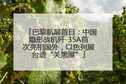 巴黎航展首日：中国隐形战机歼-35A首次亮相国外，以色列展台遭“关黑屋”