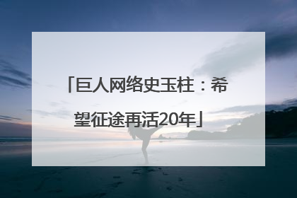 巨人网络史玉柱：希望征途再活20年