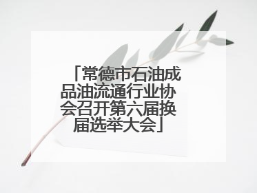 常德市石油成品油流通行业协会召开第六届换届选举大会