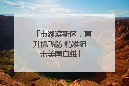 市湖滨新区：直升机飞防 精准狙击美国白蛾