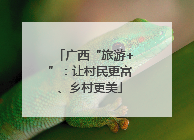 广西“旅游+”：让村民更富、乡村更美