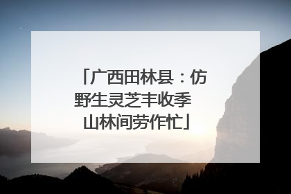 广西田林县：仿野生灵芝丰收季 山林间劳作忙