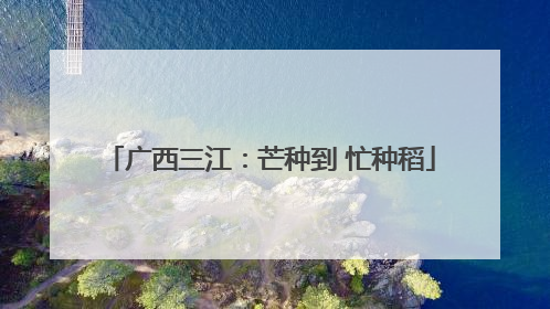 广西三江：芒种到 忙种稻