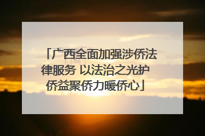 广西全面加强涉侨法律服务 以法治之光护侨益聚侨力暖侨心