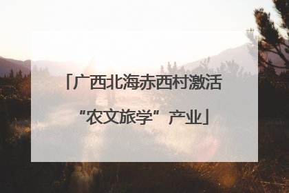 广西北海赤西村激活“农文旅学”产业