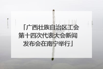 广西壮族自治区工会第十四次代表大会新闻发布会在南宁举行