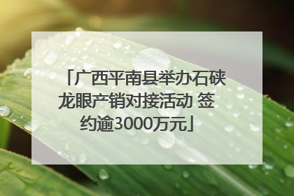广西平南县举办石硖龙眼产销对接活动 签约逾3000万元