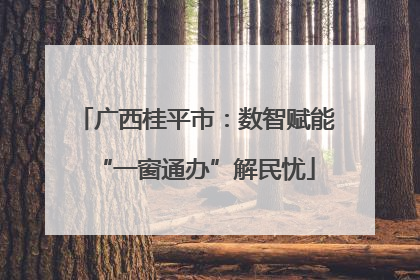 广西桂平市：数智赋能“一窗通办”解民忧