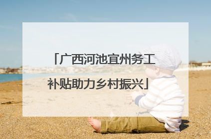 广西河池宜州务工补贴助力乡村振兴