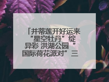 并蒂莲开好运来 “星空牡丹”绽异彩 洪湖公园“国际荷花派对”三天迎客六万