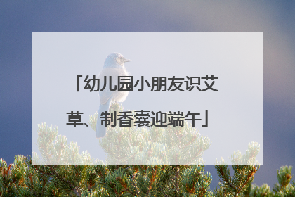 幼儿园小朋友识艾草、制香囊迎端午