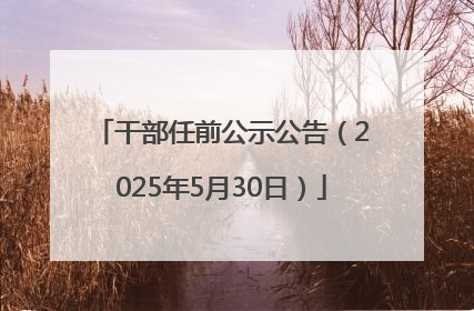 干部任前公示公告（2025年5月30日）