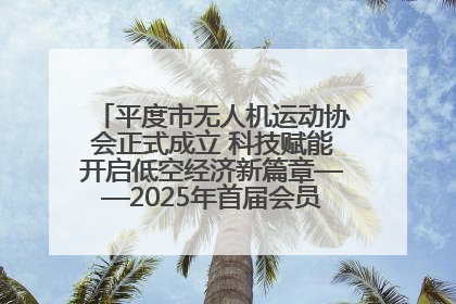 平度市无人机运动协会正式成立 科技赋能开启低空经济新篇章——2025年首届会员大会暨无人机应用发展论坛成功举办