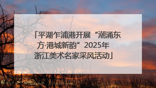 平湖乍浦港开展“潮涌东方·港城新韵”2025年浙江美术名家采风活动