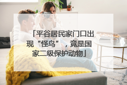 平谷居民家门口出现“怪鸟”，竟是国家二级保护动物