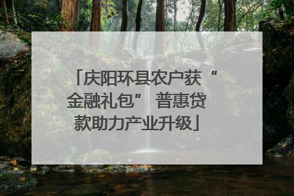 庆阳环县农户获“金融礼包” 普惠贷款助力产业升级