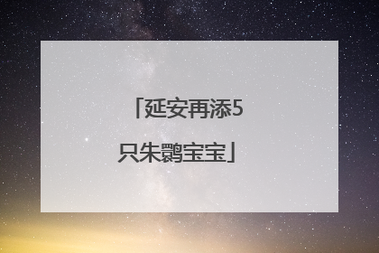 延安再添5只朱鹮宝宝