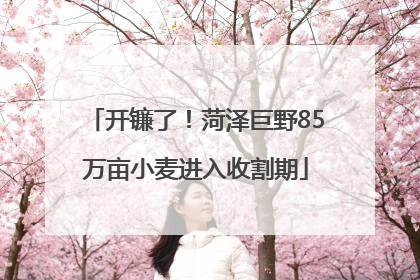 开镰了！菏泽巨野85万亩小麦进入收割期