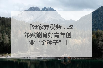 张家界税务：政策赋能育好青年创业“金种子”