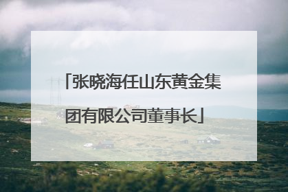 张晓海任山东黄金集团有限公司董事长