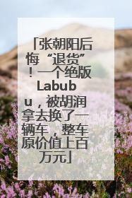 张朝阳后悔“退货”！一个绝版Labubu，被胡润拿去换了一辆车，整车原价值上百万元