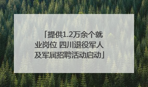 提供1.2万余个就业岗位 四川退役军人及军属招聘活动启动