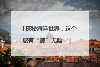 探秘海洋世界，这个展有“鲸”无险→