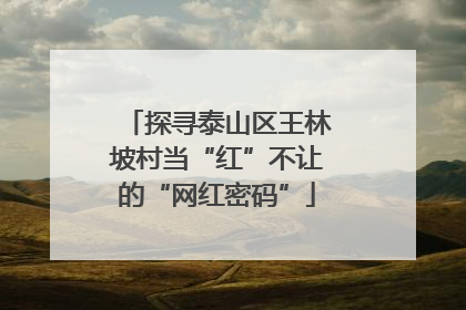 探寻泰山区王林坡村当“红”不让的“网红密码”