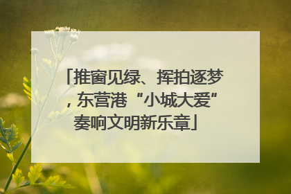 推窗见绿、挥拍逐梦，东营港“小城大爱”奏响文明新乐章