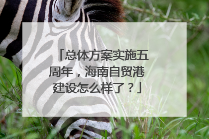 总体方案实施五周年，海南自贸港建设怎么样了？