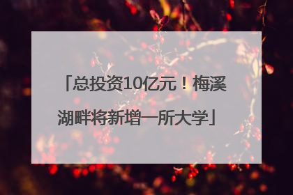 总投资10亿元！梅溪湖畔将新增一所大学