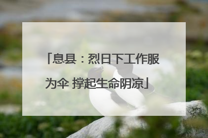 息县：烈日下工作服为伞 撑起生命阴凉
