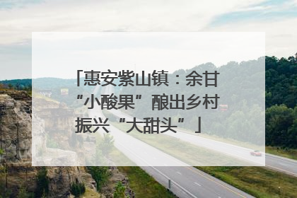 惠安紫山镇：余甘“小酸果”酿出乡村振兴“大甜头”