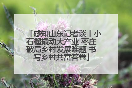 感知山东记者谈丨小石榴撬动大产业 枣庄破局乡村发展难题 书写乡村共富答卷