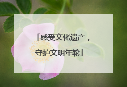 感受文化遗产，守护文明年轮